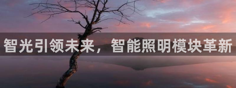 云顶国际官网官方网站