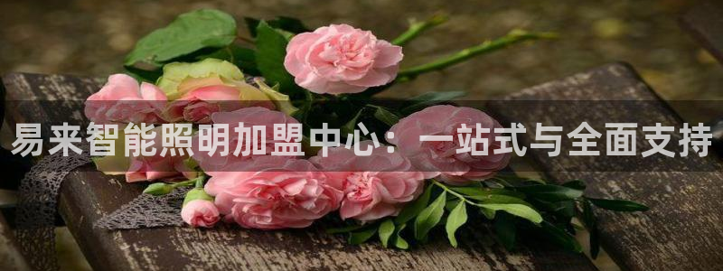 临沂云顶国际：易来智能照明加盟中心：一站