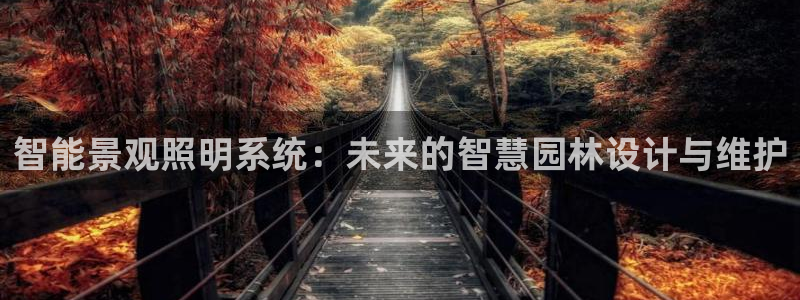 云顶集团在哪：智能景观照明系统：未来的智