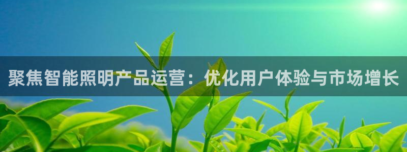 云顶国际商业广场a座101室
