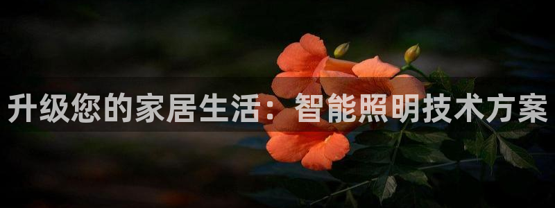 云顶国际服加速器