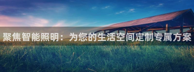 云顶国际服联机