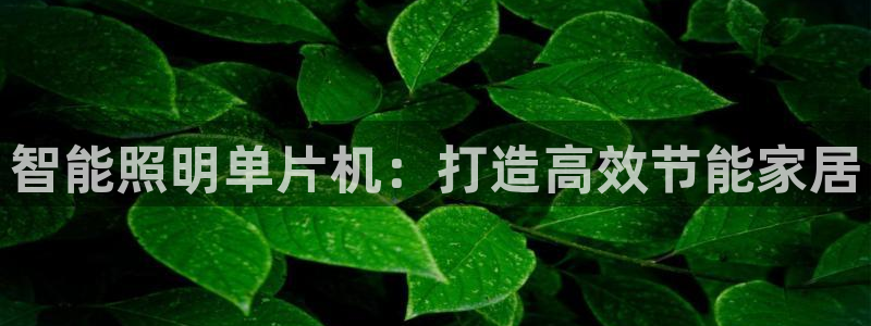 云顶12300线路