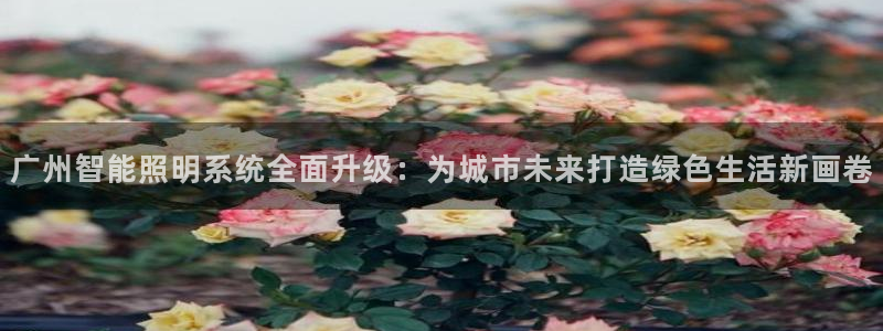 云顶国际是合法的吗